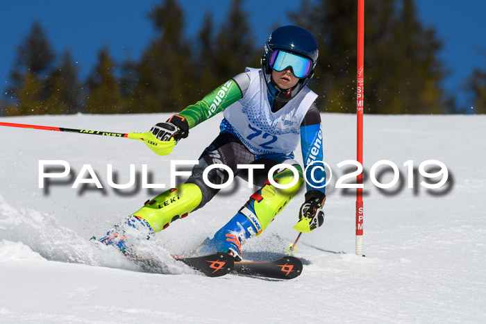 SVM U14/U16 Slalom 17.02.2019