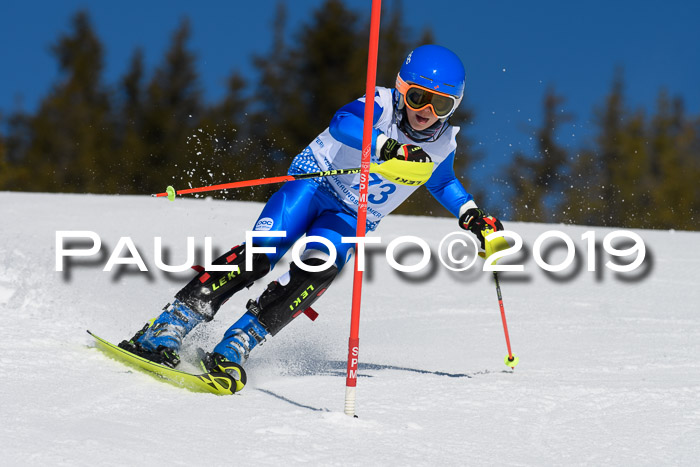 SVM U14/U16 Slalom 17.02.2019