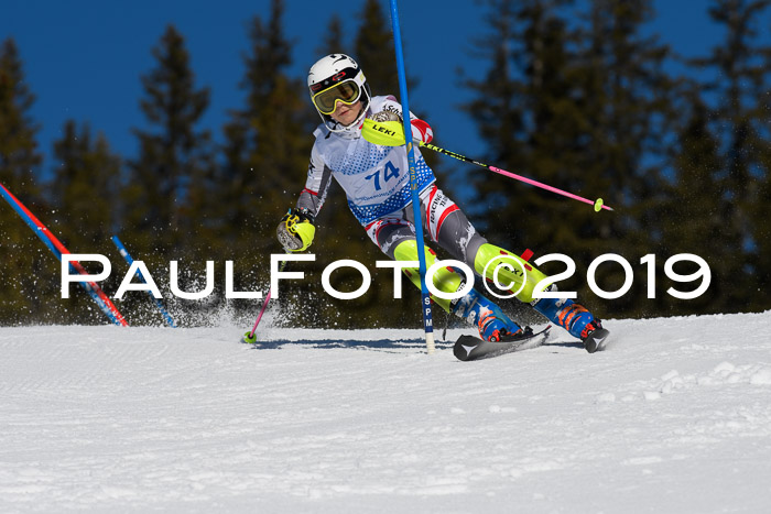 SVM U14/U16 Slalom 17.02.2019