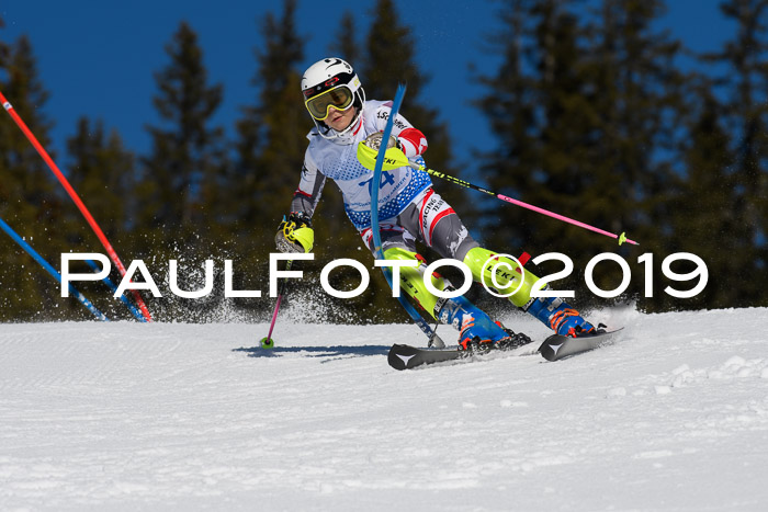 SVM U14/U16 Slalom 17.02.2019