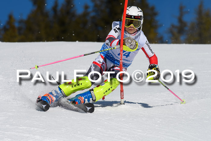 SVM U14/U16 Slalom 17.02.2019