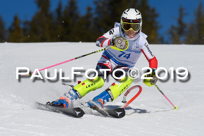 SVM U14/U16 Slalom 17.02.2019