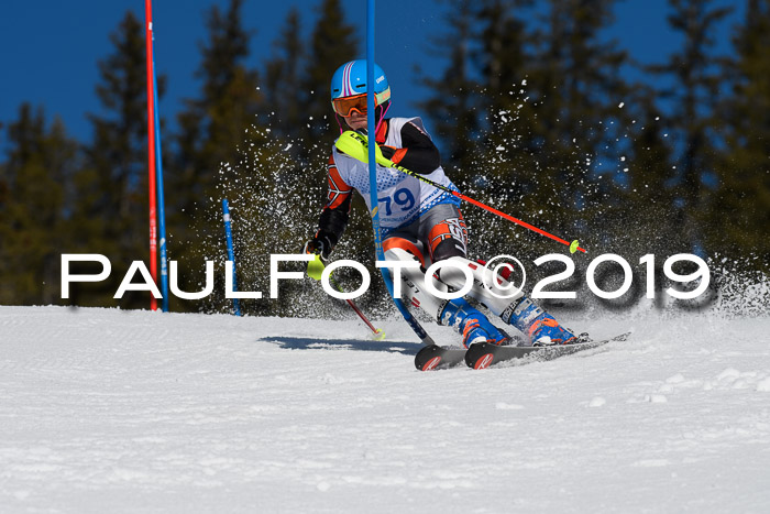 SVM U14/U16 Slalom 17.02.2019