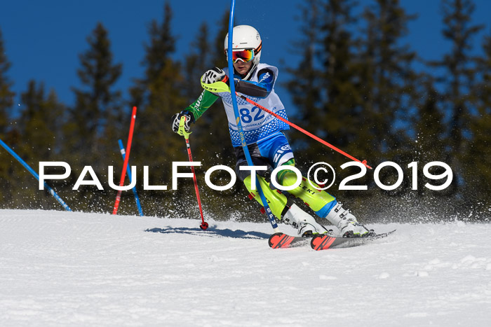 SVM U14/U16 Slalom 17.02.2019