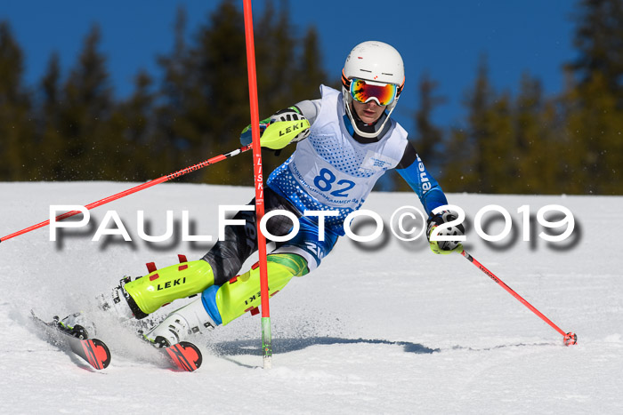 SVM U14/U16 Slalom 17.02.2019