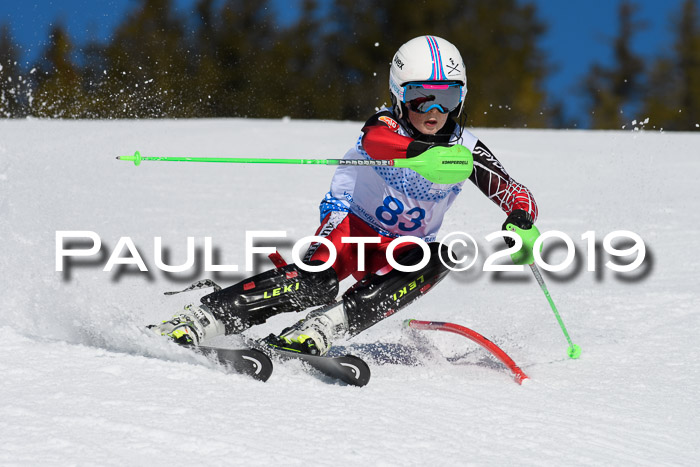 SVM U14/U16 Slalom 17.02.2019