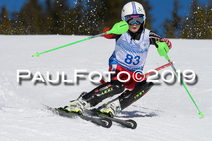 SVM U14/U16 Slalom 17.02.2019