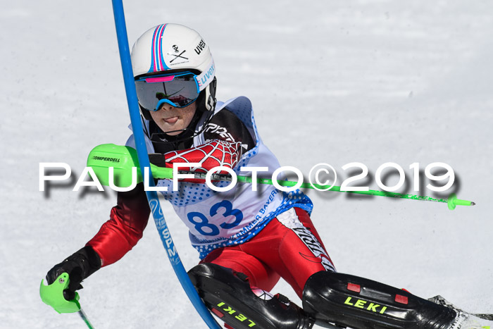 SVM U14/U16 Slalom 17.02.2019