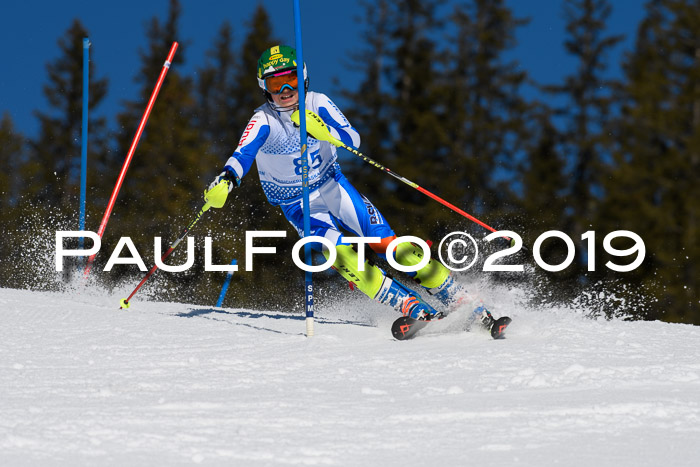 SVM U14/U16 Slalom 17.02.2019