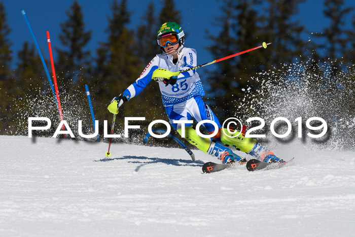 SVM U14/U16 Slalom 17.02.2019