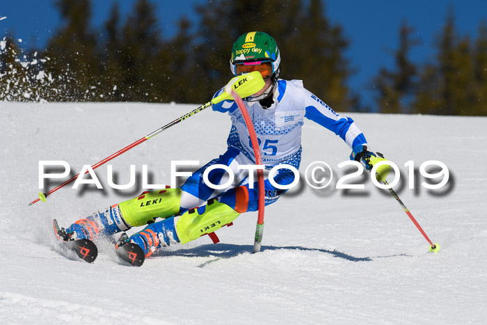 SVM U14/U16 Slalom 17.02.2019