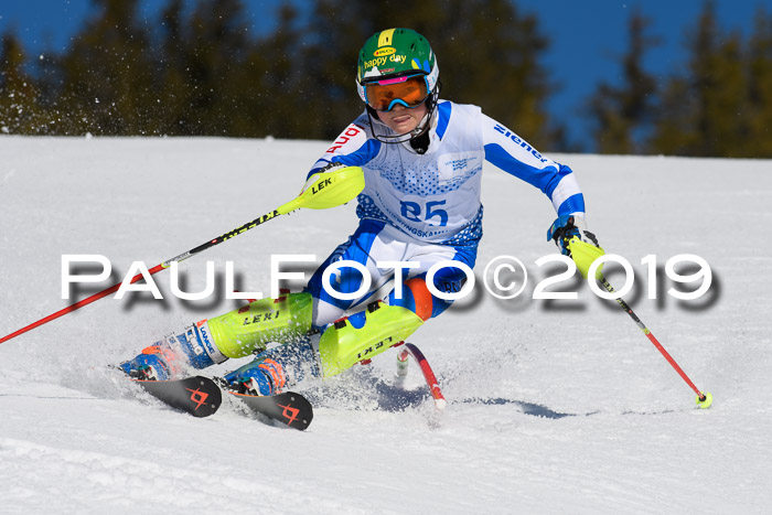 SVM U14/U16 Slalom 17.02.2019