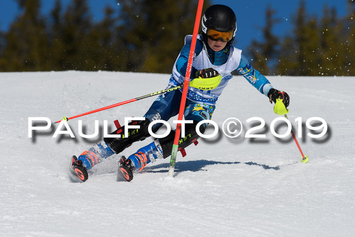 SVM U14/U16 Slalom 17.02.2019