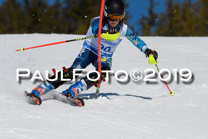 SVM U14/U16 Slalom 17.02.2019