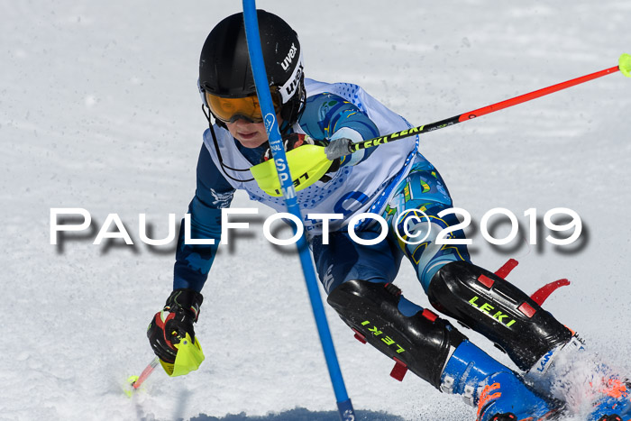 SVM U14/U16 Slalom 17.02.2019