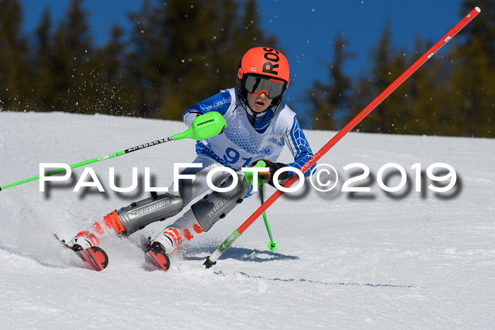 SVM U14/U16 Slalom 17.02.2019