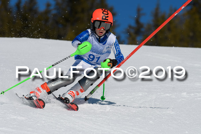 SVM U14/U16 Slalom 17.02.2019