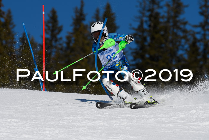 SVM U14/U16 Slalom 17.02.2019