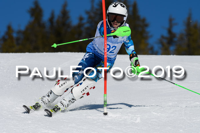 SVM U14/U16 Slalom 17.02.2019