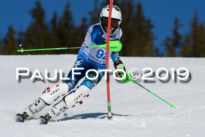 SVM U14/U16 Slalom 17.02.2019