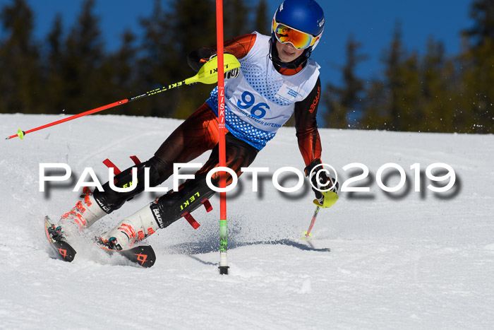 SVM U14/U16 Slalom 17.02.2019