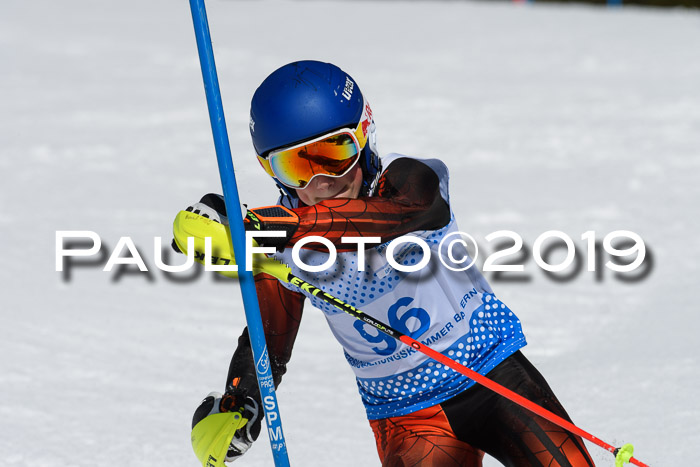 SVM U14/U16 Slalom 17.02.2019