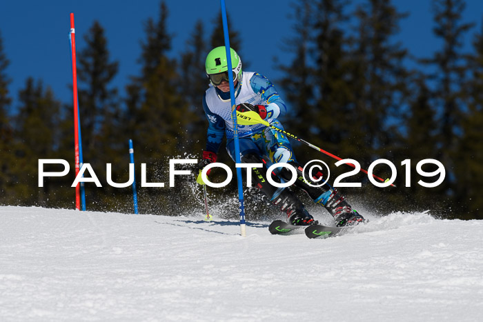 SVM U14/U16 Slalom 17.02.2019