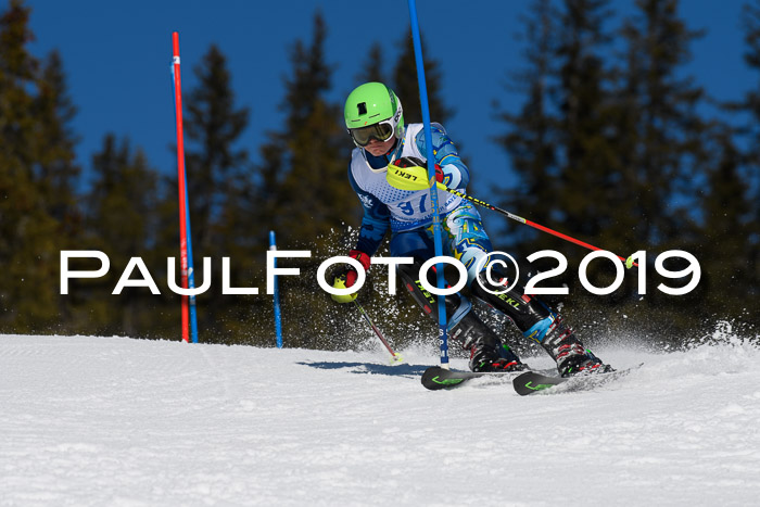 SVM U14/U16 Slalom 17.02.2019