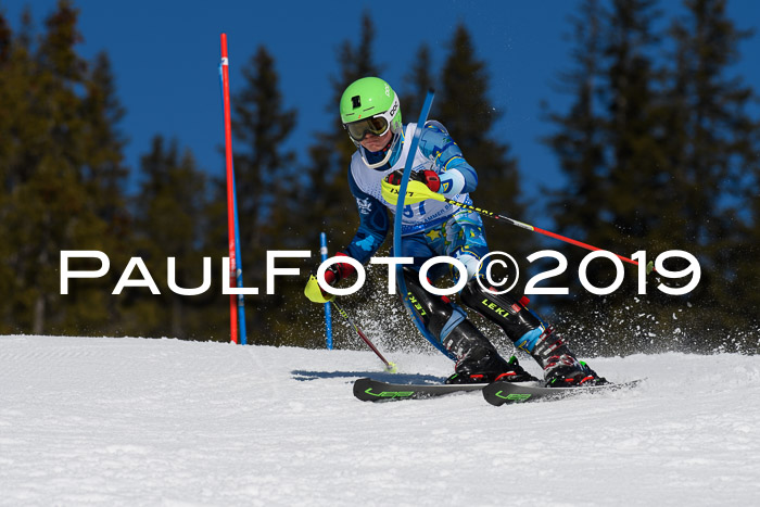 SVM U14/U16 Slalom 17.02.2019