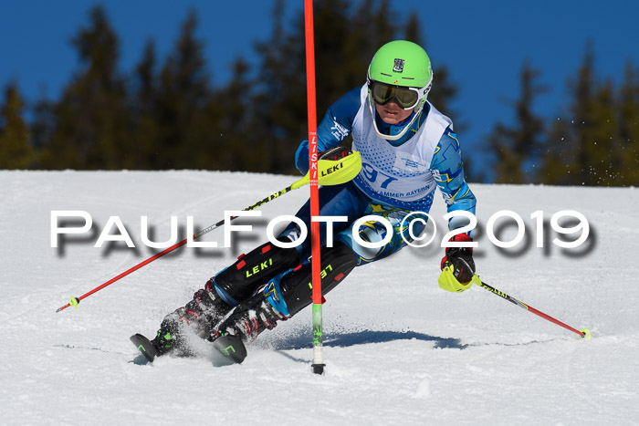 SVM U14/U16 Slalom 17.02.2019