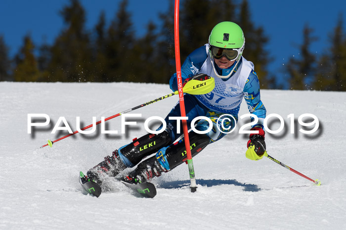 SVM U14/U16 Slalom 17.02.2019