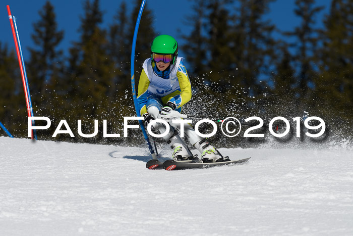 SVM U14/U16 Slalom 17.02.2019