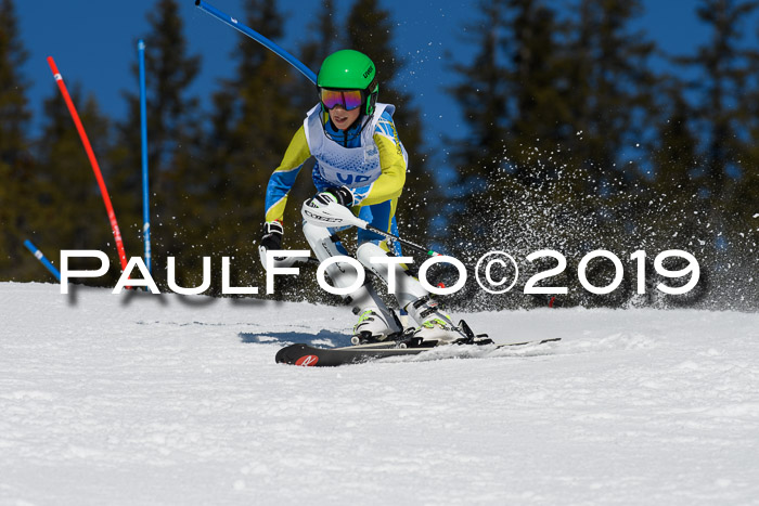 SVM U14/U16 Slalom 17.02.2019