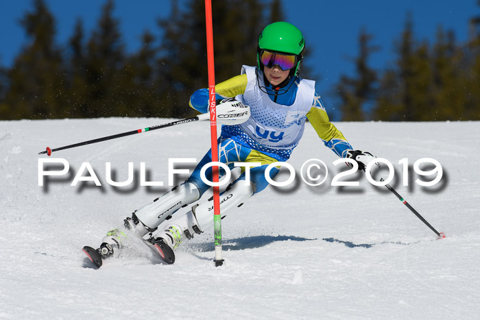 SVM U14/U16 Slalom 17.02.2019