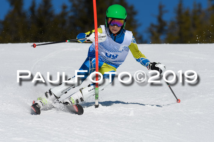 SVM U14/U16 Slalom 17.02.2019