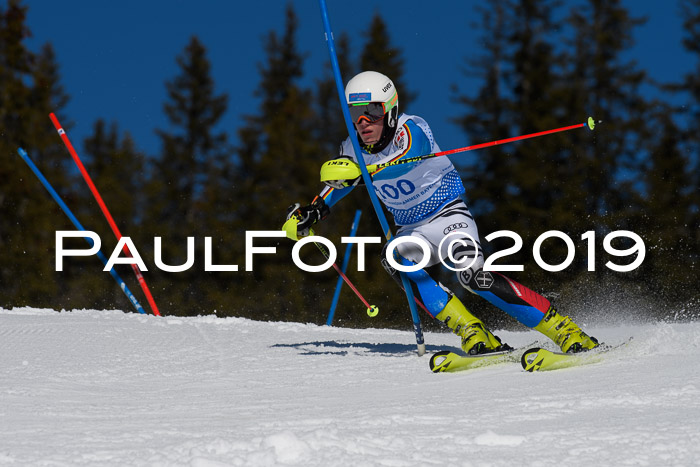 SVM U14/U16 Slalom 17.02.2019