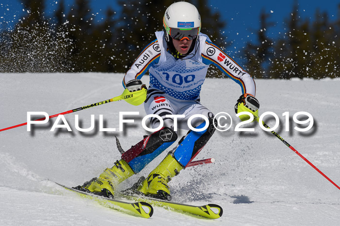 SVM U14/U16 Slalom 17.02.2019