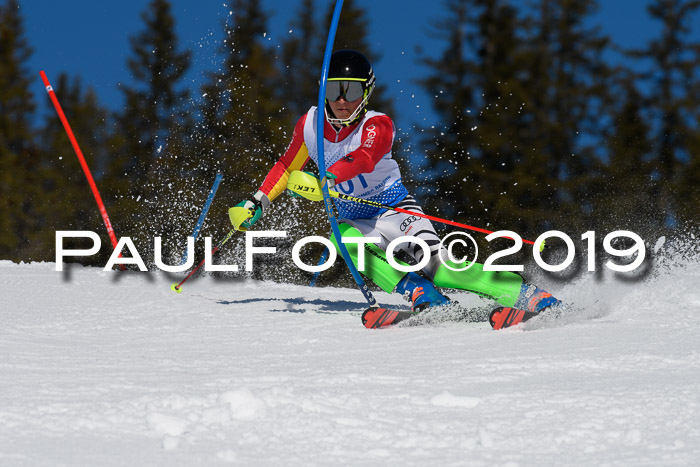 SVM U14/U16 Slalom 17.02.2019