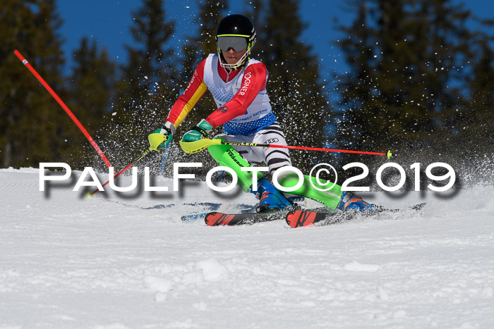 SVM U14/U16 Slalom 17.02.2019