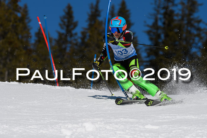 SVM U14/U16 Slalom 17.02.2019