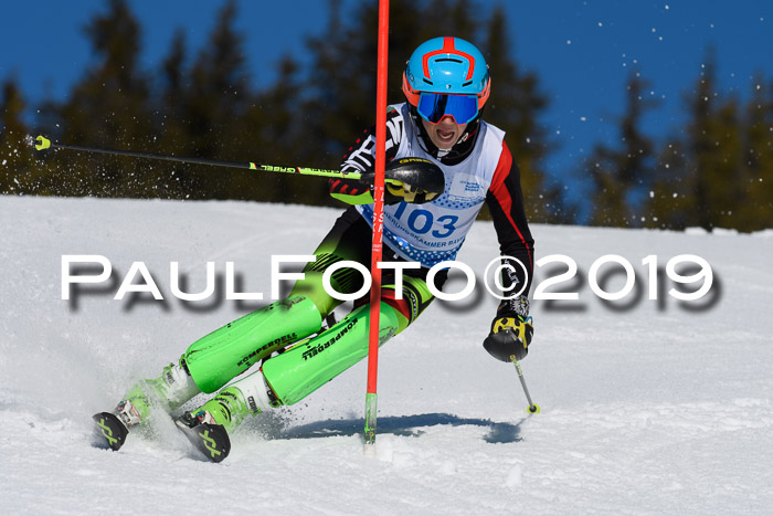 SVM U14/U16 Slalom 17.02.2019