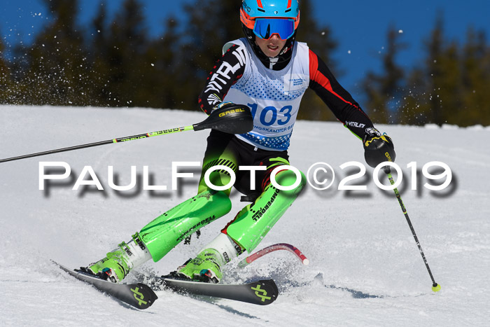 SVM U14/U16 Slalom 17.02.2019