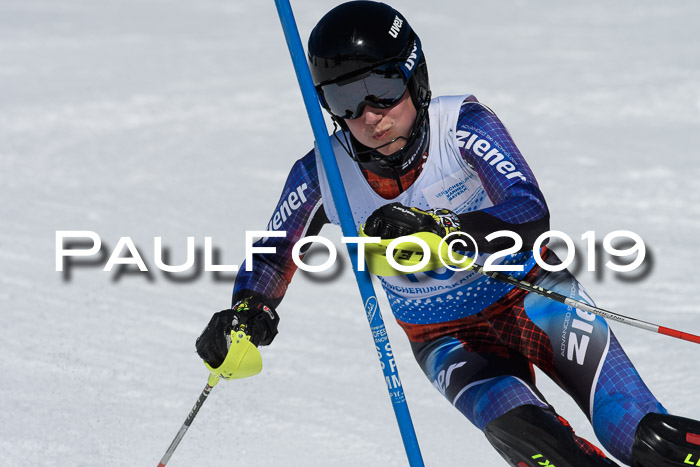 SVM U14/U16 Slalom 17.02.2019