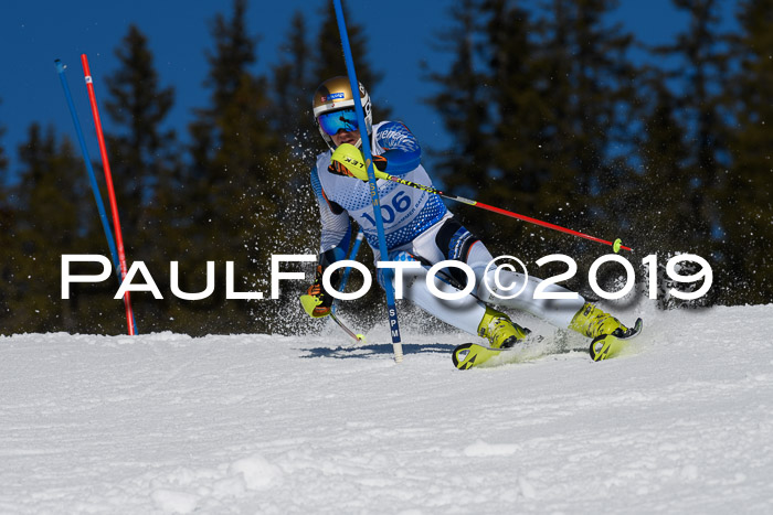 SVM U14/U16 Slalom 17.02.2019