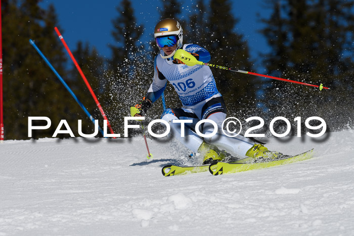 SVM U14/U16 Slalom 17.02.2019