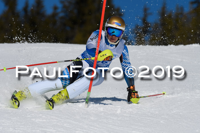 SVM U14/U16 Slalom 17.02.2019