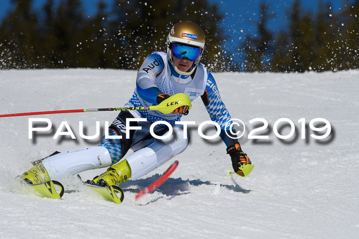 SVM U14/U16 Slalom 17.02.2019