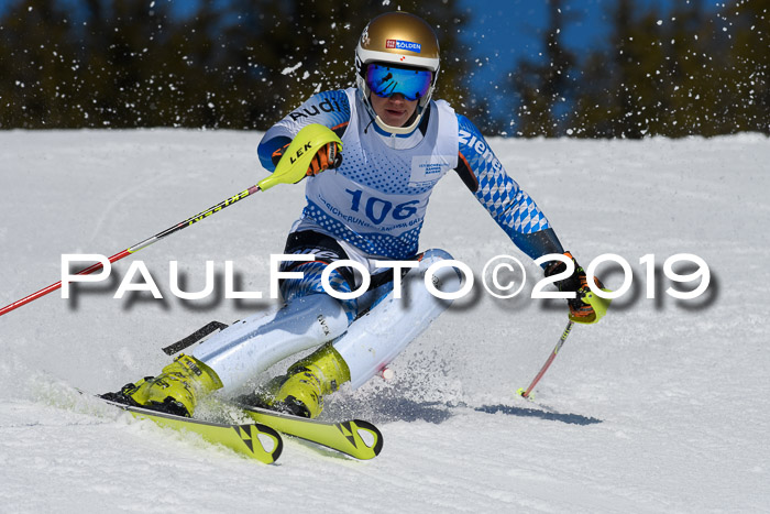 SVM U14/U16 Slalom 17.02.2019