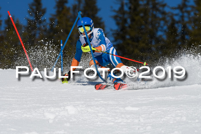 SVM U14/U16 Slalom 17.02.2019