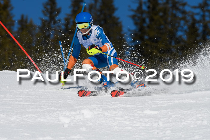 SVM U14/U16 Slalom 17.02.2019